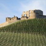 Burg Taggenbrunn in St. Veit