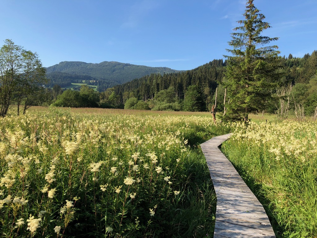Wandern im Hörfeld Moor im Görtschitztal