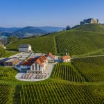 Weingut Burg Taggenbrunn als Slow Food Betrieb