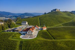 Weingut Burg Taggenbrunn als Slow Food Betrieb