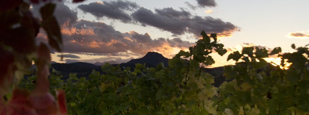 Vinum Virunum - Abendstimmung