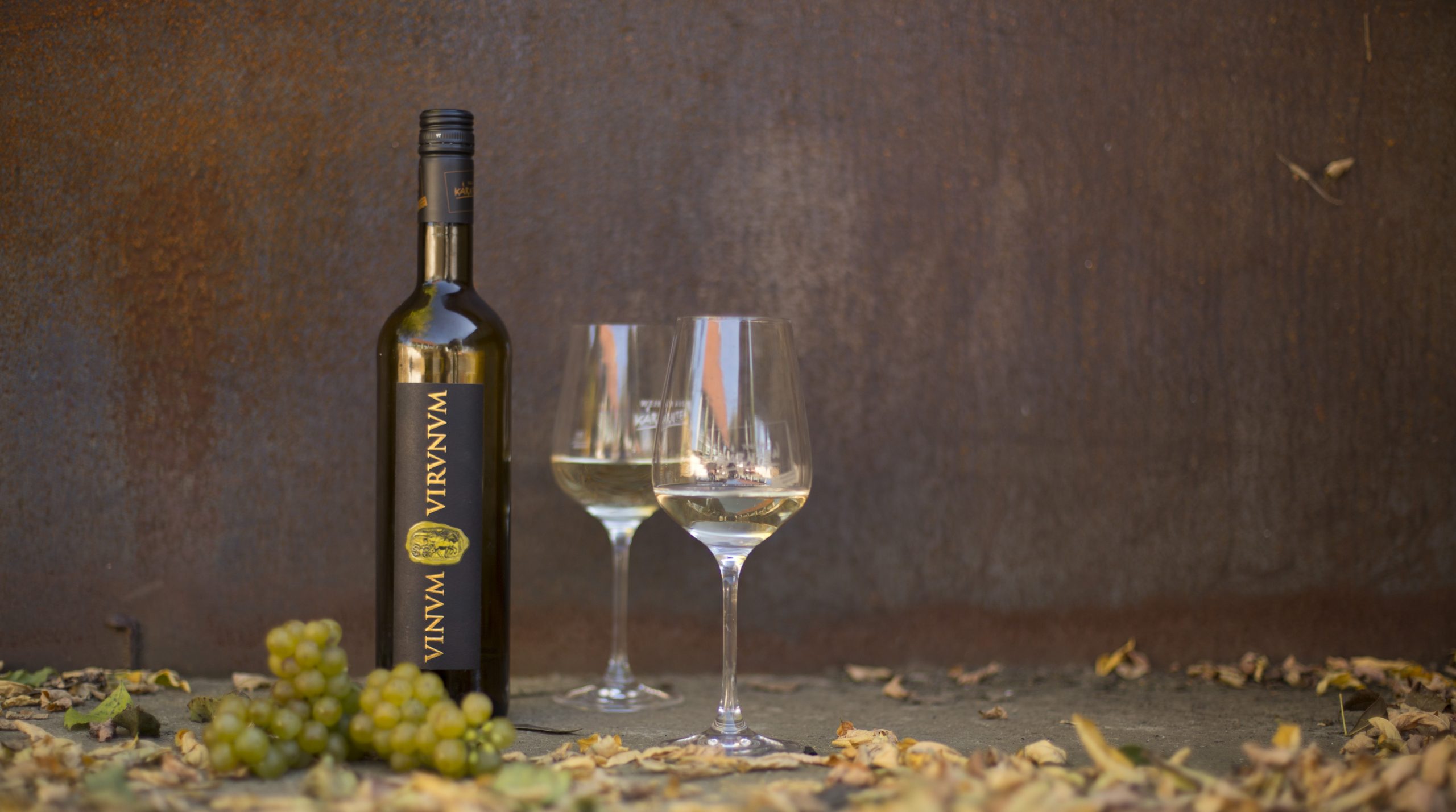 Vinum Virunum - Probe