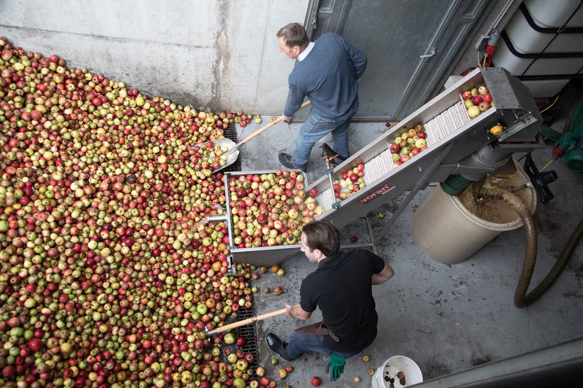 Obsternte in der Pfau Brennerei