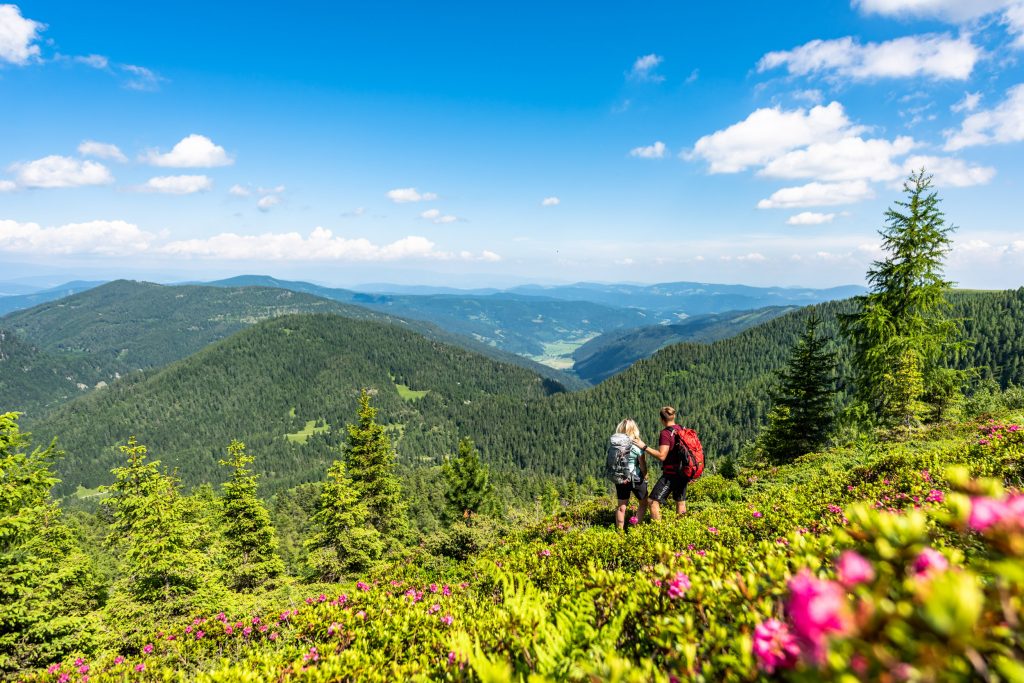 Wanderwege in Mittelkärnten
