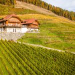 Weingut Karnburg - Haus