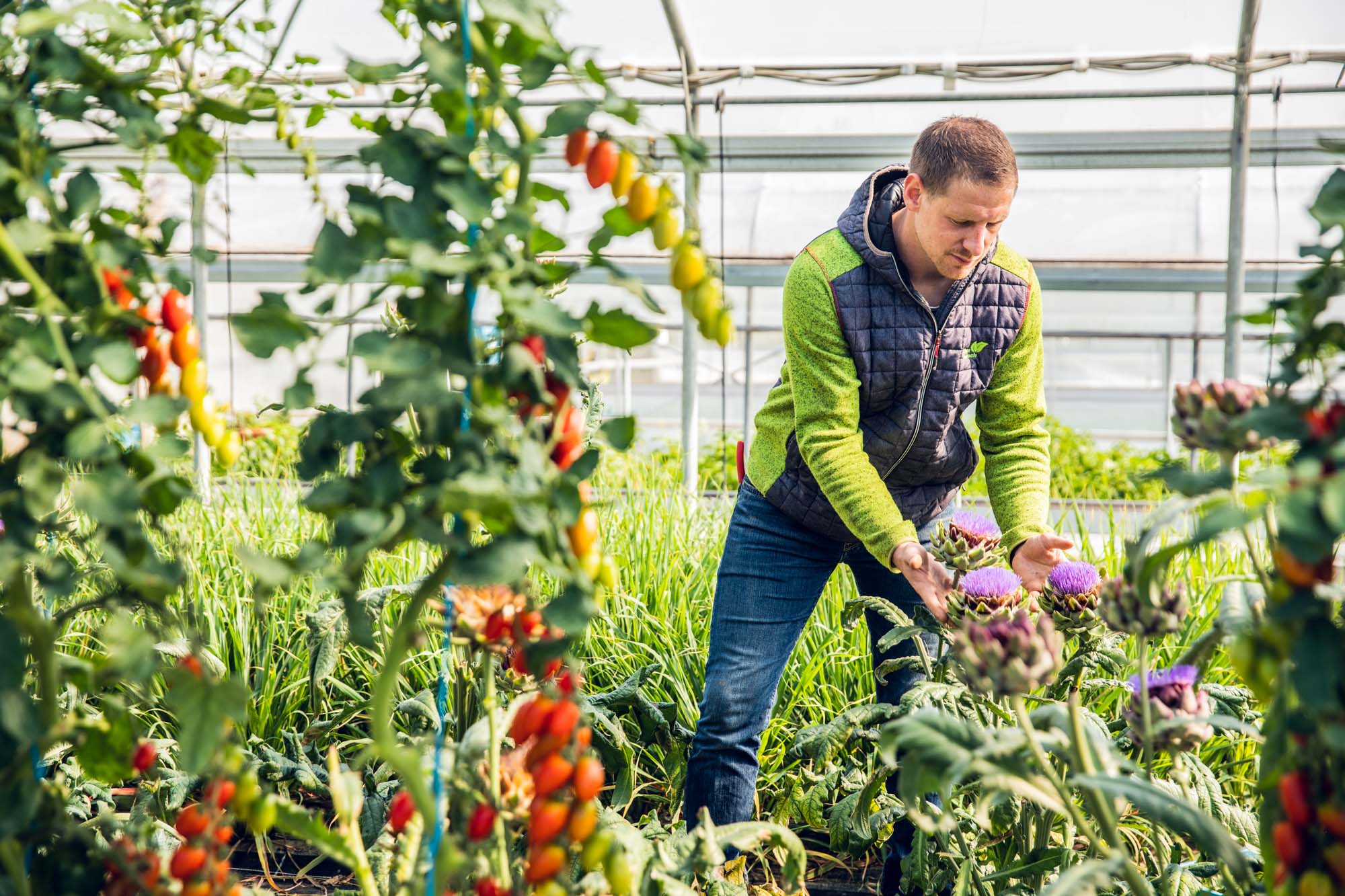 Kärnten Taufrisch - Rene Robitsch