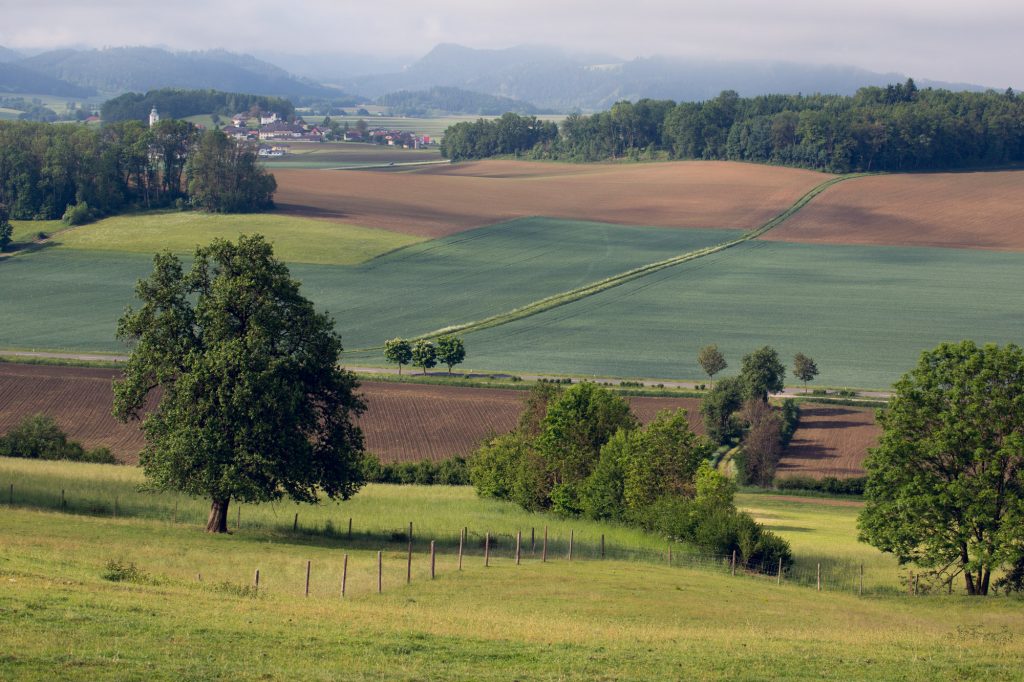 Eierhof Anderle - Malerische Natur