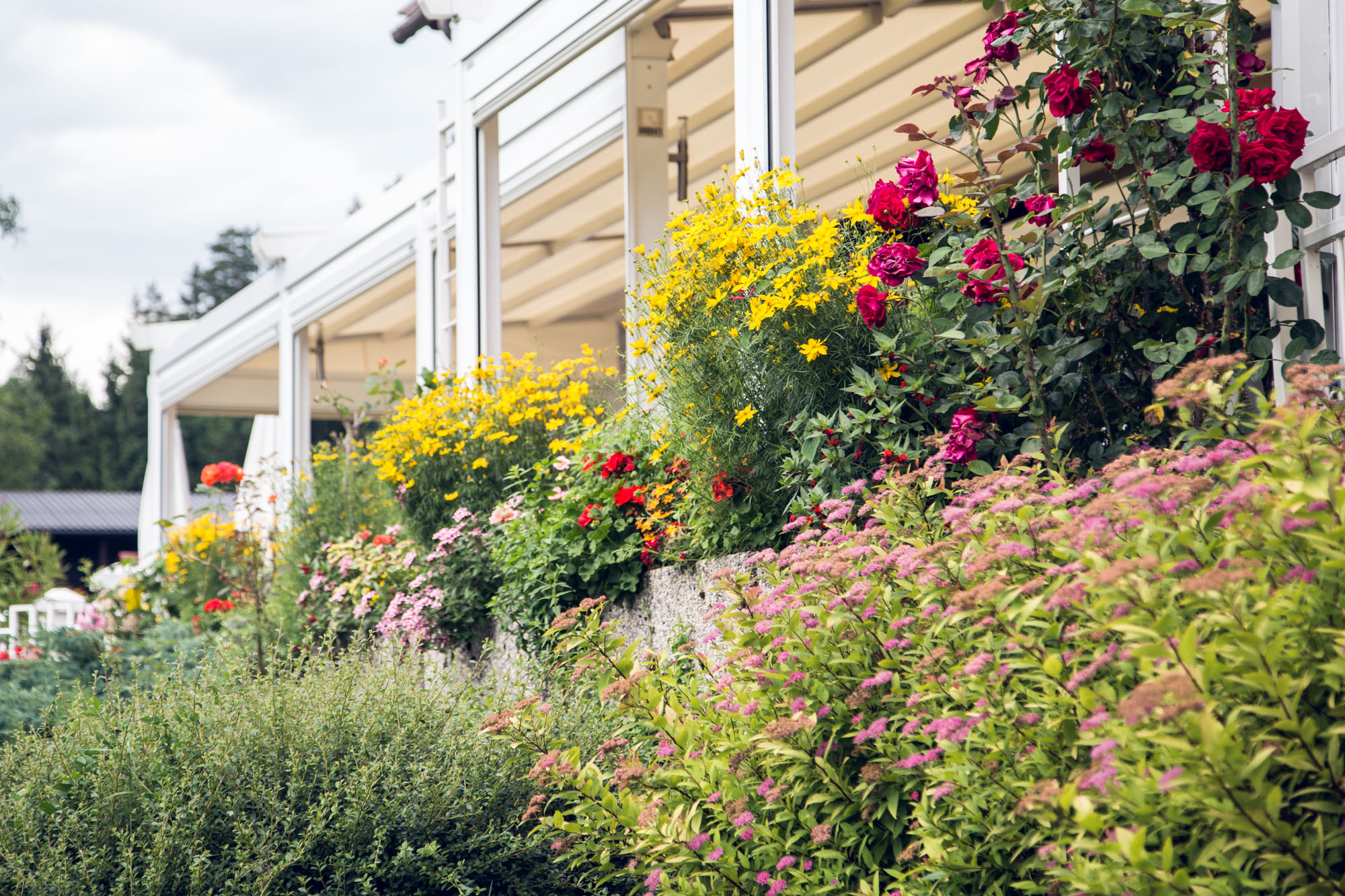 Maltschacher Seewirt - Blumenterrasse