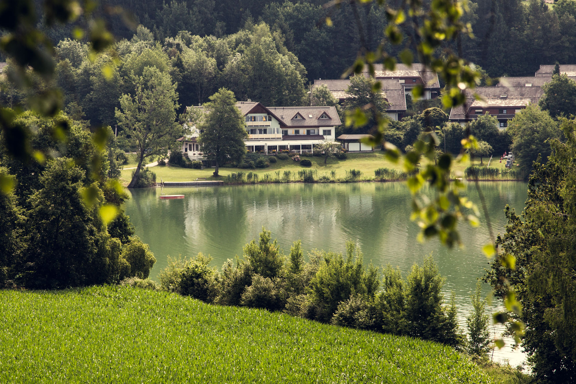 Maltschacher Seewirt - Blick auf den See