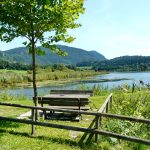 Naturerlebnispfad Urbansee