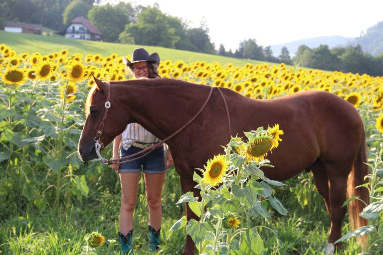 Sonnenblumenfeld mit Pferd und Reiterin