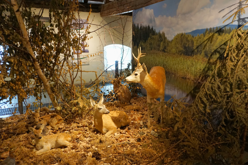 Wohnzimmer Natur in Friesach