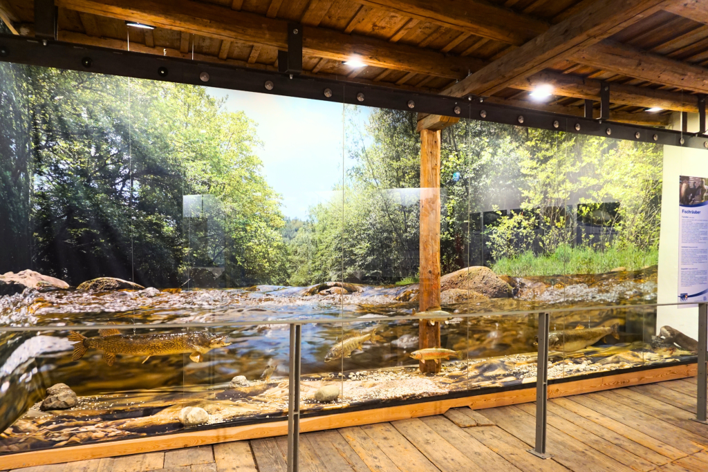 Ausstellung am Fürstenhof Friesach