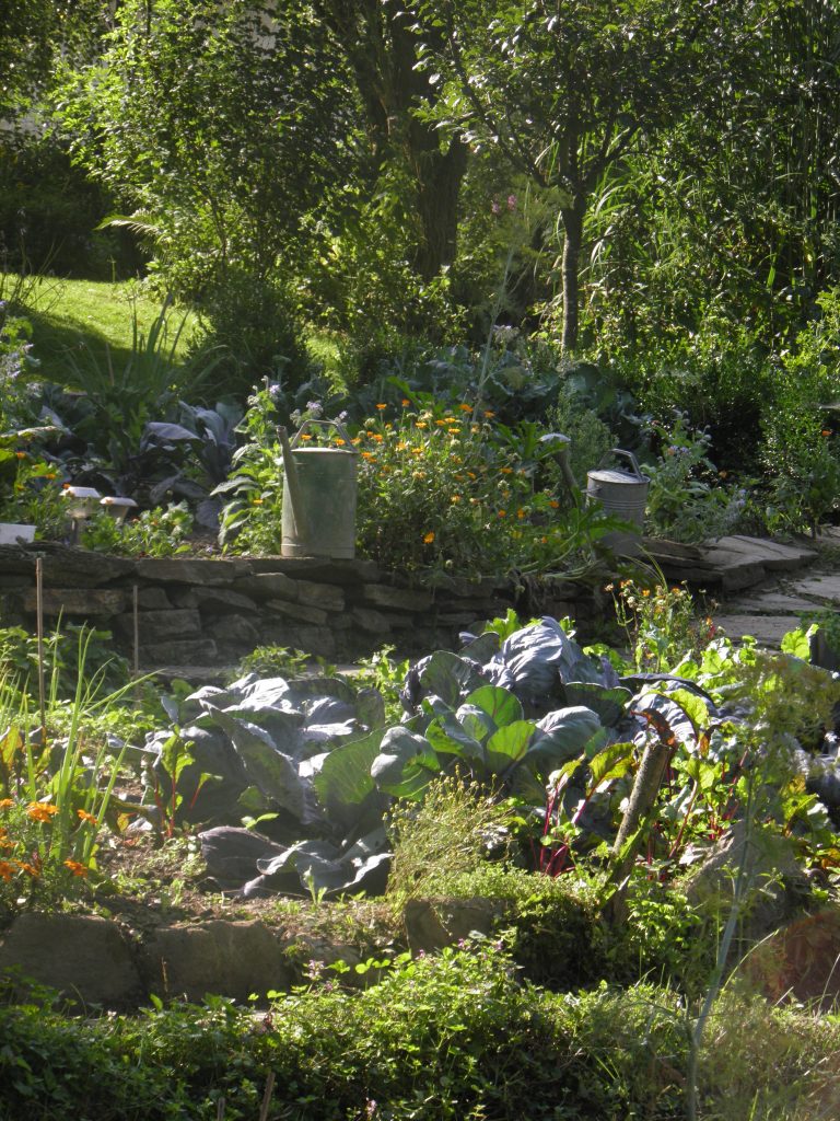 Gemüsegarten Christina Wildhaber