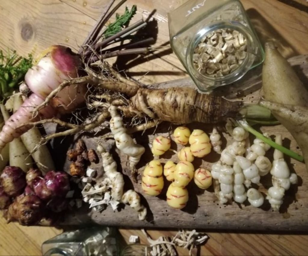 Gemüse von Christina Wildhaber