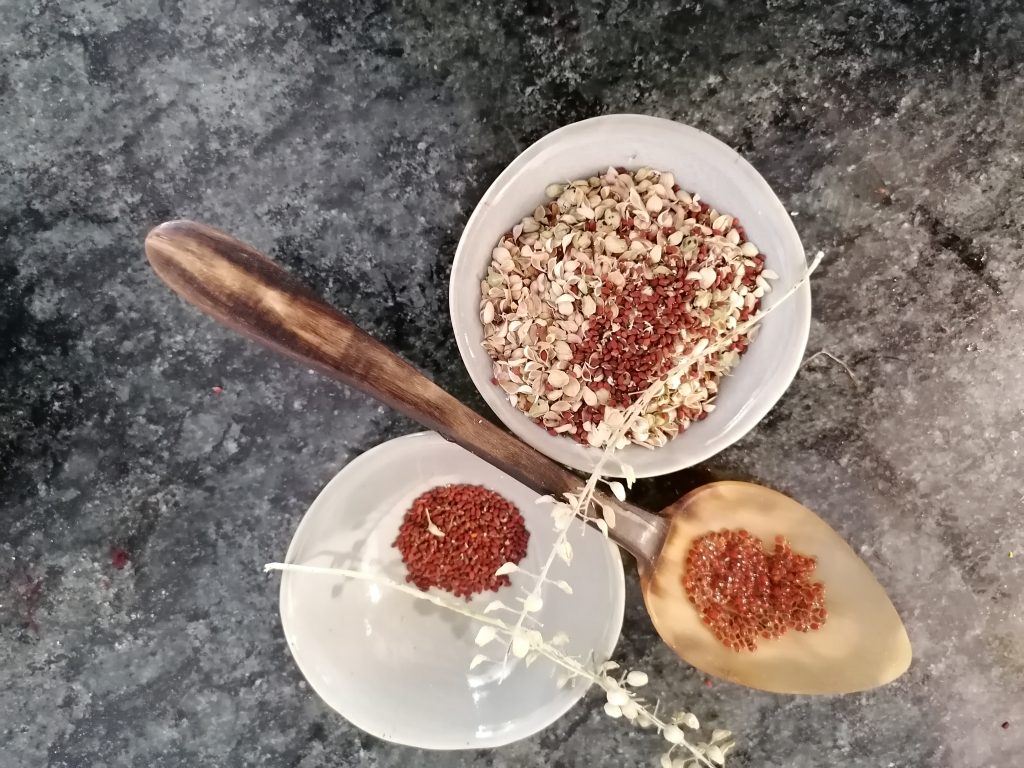 Gewürze Christina Wildhaber