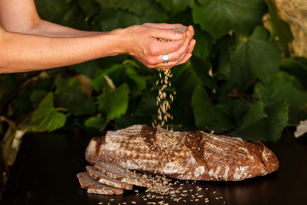 Frisch gebackenes Brot vom Adamhof Frisch gebackenes Brot vom Adamhof in Maria Saal