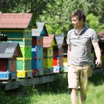 Bienenstöcke in bunt