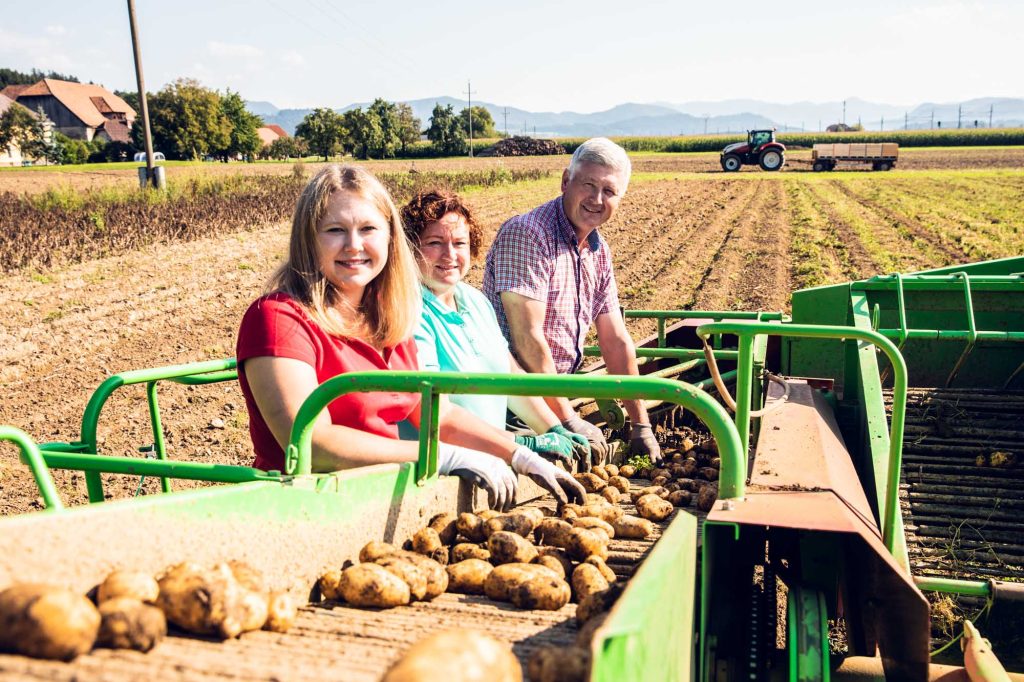 Kartoffelernte am Biohof Pichler