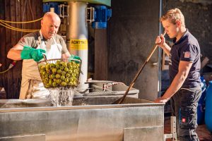 Biotophof Rattenberger